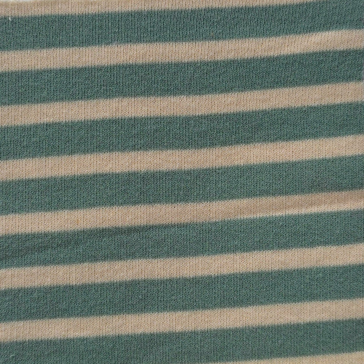 Heavy Organic Cotton Teddy Stripe Terry Knit