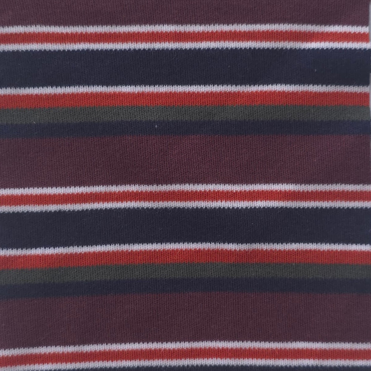 Organic Cotton Precision Auto-Stripe Interlock