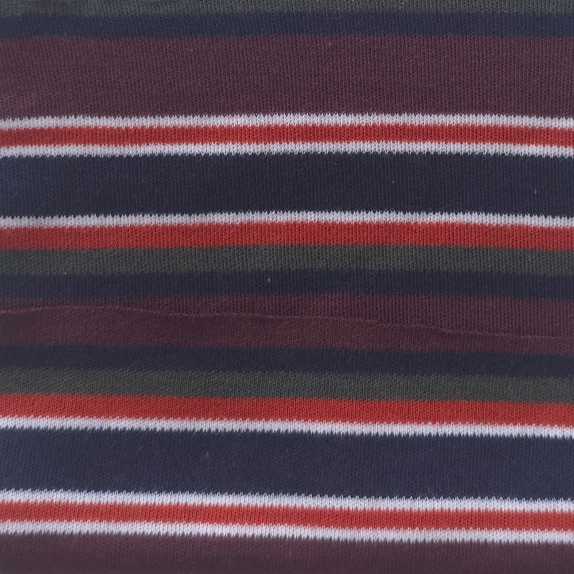 Organic Cotton Precision Auto-Stripe Interlock