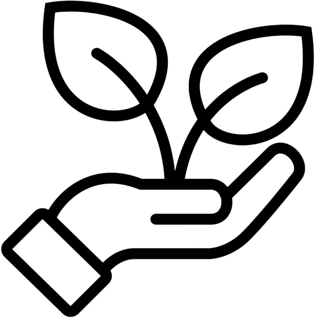 Ethical garment manufacturing and social responsibility standards.