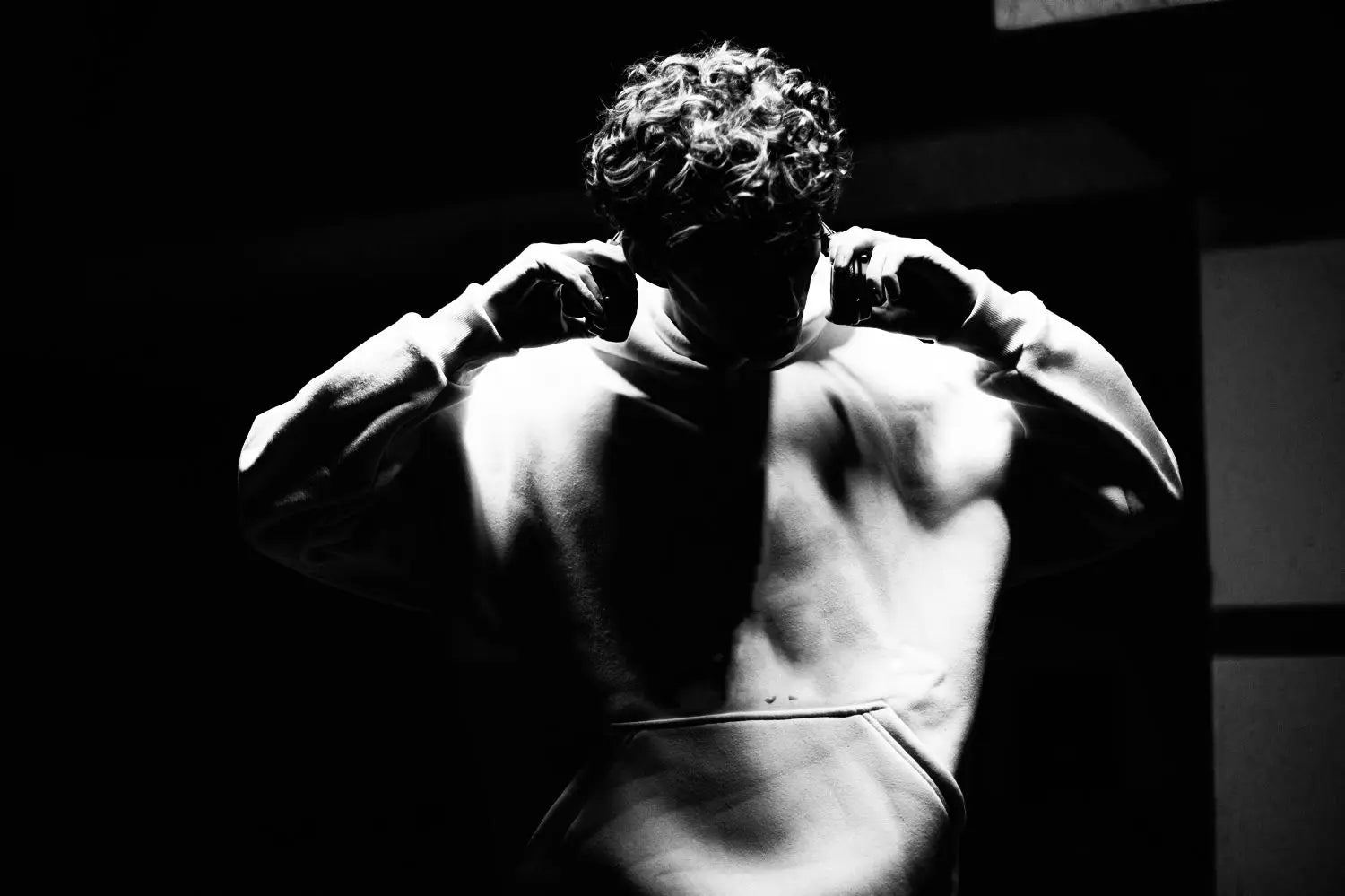 Selection of premium heavyweight cotton blank hoodies and t-shirts for fashion brand sourcing.